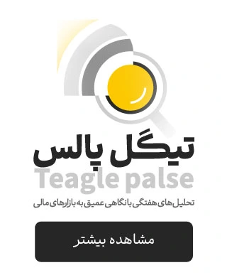 TeagleMag Pulse